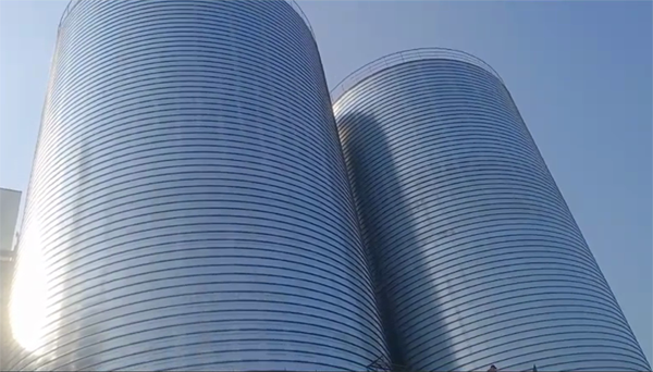 凭祥2座混凝土高架卷板仓